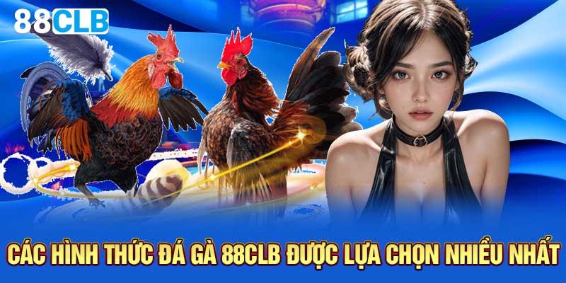 Các hình thức đá gà 88CLB được lựa chọn nhiều nhất