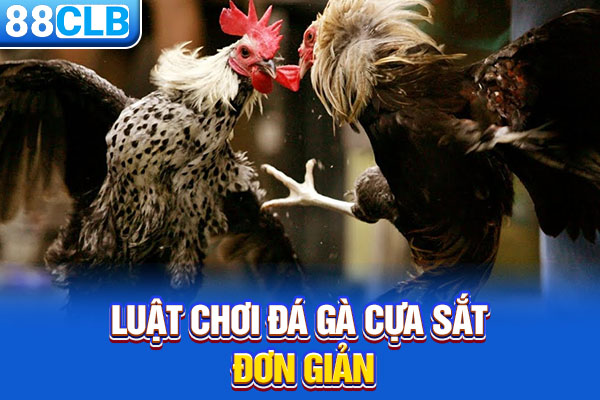 Luật chơi Đá gà cựa sắt đơn giản