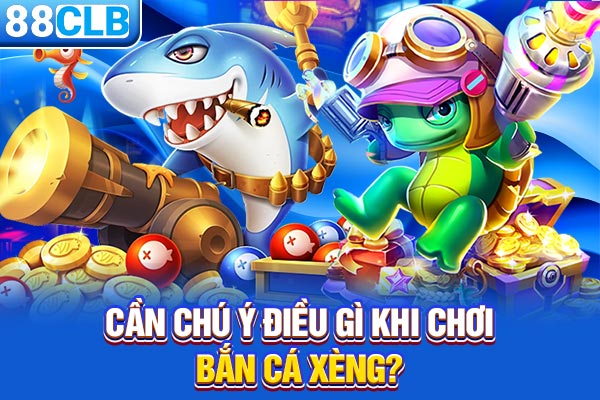 Cần chú ý điều gì khi chơi bắn cá xèng?