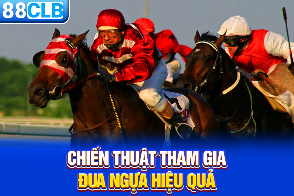 Chiến thuật tham gia đua ngựa hiệu quả
