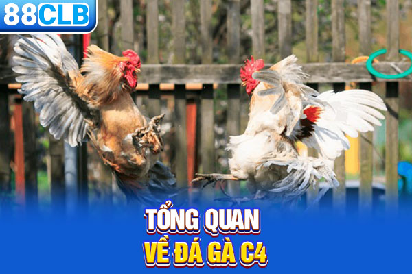 Tổng quan về đá gà C4