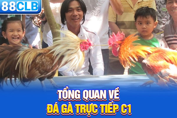 Tổng quan về đá gà trực tiếp C1